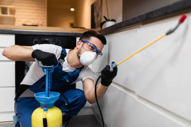 Best Affordable Pest Control Services  in Jacksonville, OR