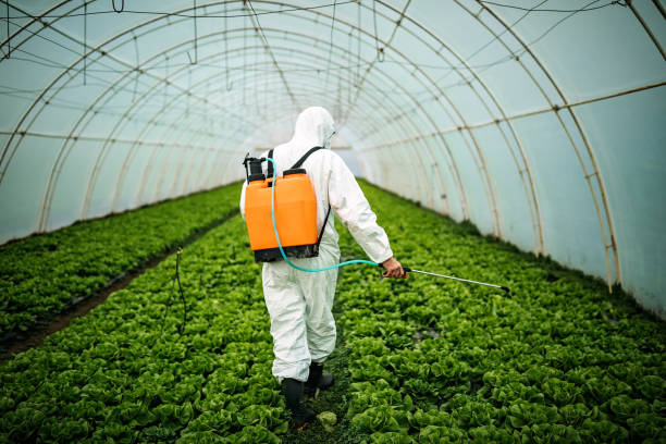Best Pest Control for Homes  in Jacksonville, OR