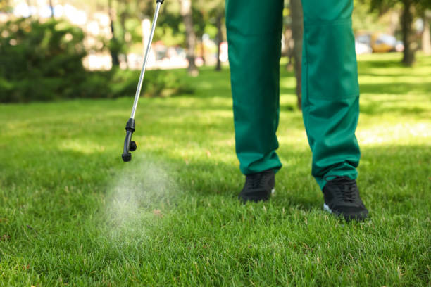 Best Bed Bug Extermination  in Jacksonville, OR