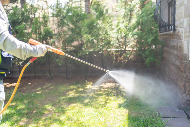 Best Rat Extermination Near Me  in Jacksonville, OR