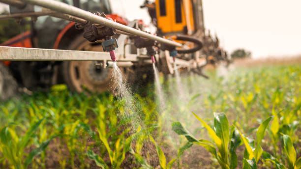 Best Mosquito Control Services  in Jacksonville, OR